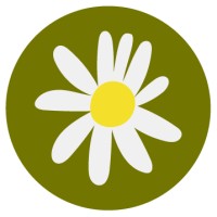 Daisy Chain Experiences logo - Similar company to Oracle Support Group