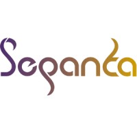 Sepanta System logo - Similar company to Sepanta System