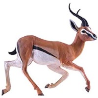 Gazelle Advisory LLC logo - Similar company to Mcmackin Technical Services