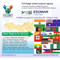 FIELDNET Global Research logo - Similar company to Fieldnet As