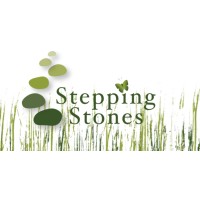Stepping Stones Network logo - Similar company to Kiwiclass - Multicultural Support Services - He Amo Taunaki