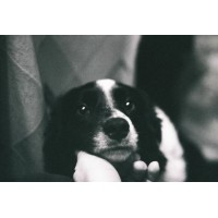 Analog Photography | Ruu.Lv