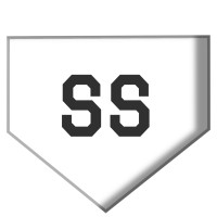 Slugger Solutions logo - Similar company to Datanav Solutions