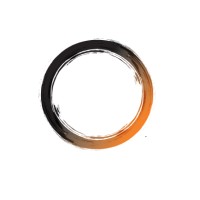 Enso Circle Space logo - Similar company to Trnsfrm | It Resilience Framework™