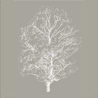 ULMUS Conseil logo - Similar company to Galatea Talents