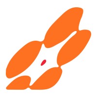 Multiple Sclerosis Society Singapore logo - Similar company to Elevo Consultancy