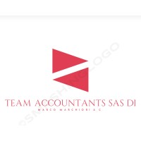 Team Accountants Sas di Arianna Alloatti logo - Similar company to Pautasso S.R.O.