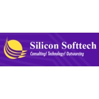 Silicon Softtech logo - Similar company to Intactweb