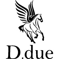 D.due Boots logo - Similar company to Dear Prudence Llc