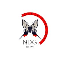 NDG Inc logo - Similar company to First Light Solutions