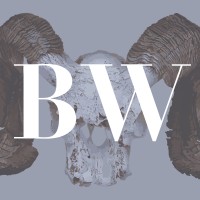 Bighorn Writing, Llc
