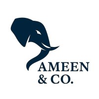 Ameen & Company logo - Similar company to Yorth Group