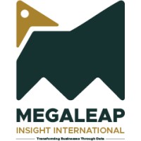 MegaLeap Insights International Pvt. Ltd. logo - Similar company to Prodynamics Technology