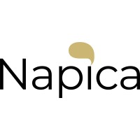 Napica logo - Similar company to Rhetorica Aps