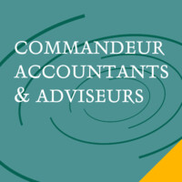 Commandeur Accountants en Adviseurs logo - Similar company to Heer Meester - Online Accountants & Fiscalisten