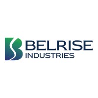 Belrise Industries (formerly Badve Engineering) logo - Similar company to Varroc