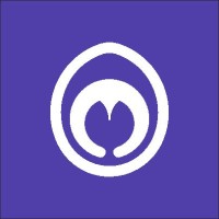 Magnius logo - Similar company to Online Power Solutions