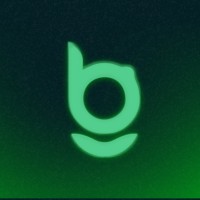 BringGo Ship logo - Similar company to Edunext