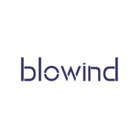 blowind logo - Similar company to Titanium Technology