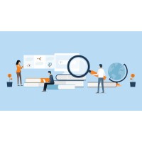 Survey Solutions Network logo - Similar company to Data Innovate Queen