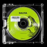 Salvia logo - Similar company to Digitenium