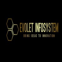 Evolet Infosystem logo - Similar company to Khidmahexpert.Com