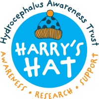 Harry's Hydrocephalus Awareness Trust (Harry's HAT) logo - Similar company to Been There