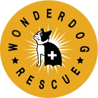Wonder Dog Rescue logo - Similar company to Wagging Dog Rescue