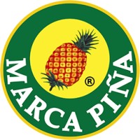 Piñakamasarap Corporation logo - Similar company to [Undisclosed]