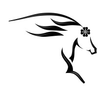 LuckMa logo - Similar company to Videastream