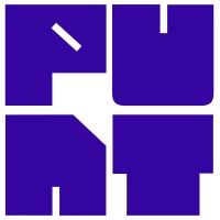 Punt_Partners logo - Similar company to Cosgrid Networks