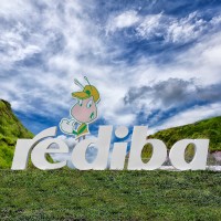 Rediba S.A. E.S.P.