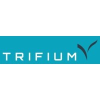 Trifium Insurance logo - Similar company to Cj Hendriks Group