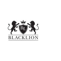 Blacklion Holdings logo - Similar company to Blacklion Group