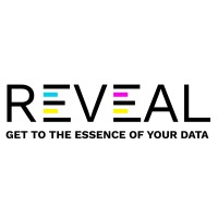 RevealApp logo - Similar company to Centerprise Services