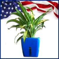 Plant Air Purifier logo - Similar company to Custom Fireplace Bbq & Spa