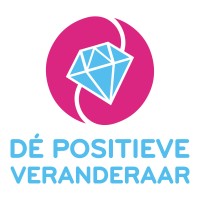 Dé Positieve Veranderaar logo - Similar company to Stichting Rgs