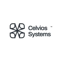 Celvios Systems logo - Similar company to Coconut Africa