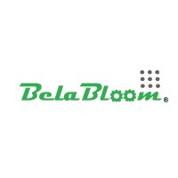 BelaBloom Projects and Facility Management Pvt. Ltd. logo - Similar company to Techoronic Llc