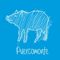 Puercomonte logo - Similar company to Creativakids