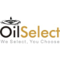 Energy Select Group