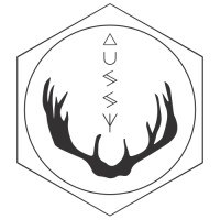 Aussy logo - Similar company to Axlhub