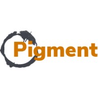 PIGMENT logo - Similar company to Perzon