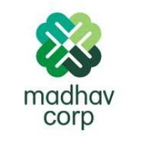 Madhav Corp logo - Similar company to Cynectix Group