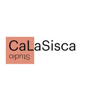CaLaSiscaStudio logo - Similar company to New Vision