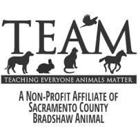 T.E.A.M. (Teaching Everyone Animals Matter) Non-profit Affiliate for Bradshaw Animal Shelter logo - Similar company to Breathe California Sacramento Region