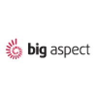 Big Aspect