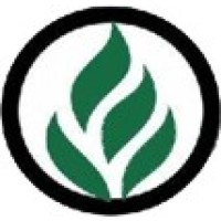 Brightvolts Solution logo - Similar company to Llika