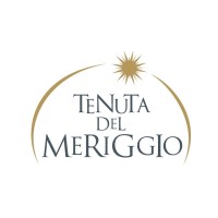 Tenuta del Meriggio logo - Similar company to Tenuta Monte Chervano