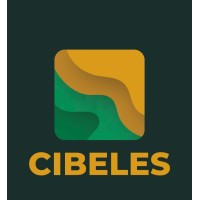 CIBELES Innovación en Ingeniería logo - Similar company to Cibeles Talent